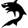 11. Requin