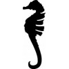 23. Hippocampe