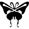 33. Papillon No.1