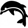 38. Dauphin